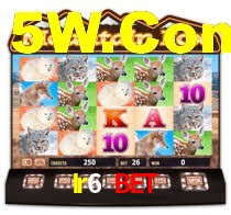 Ir6 Bet